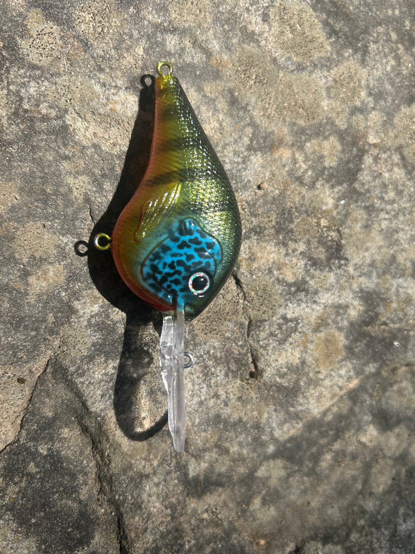 Perch medium-diving crank
