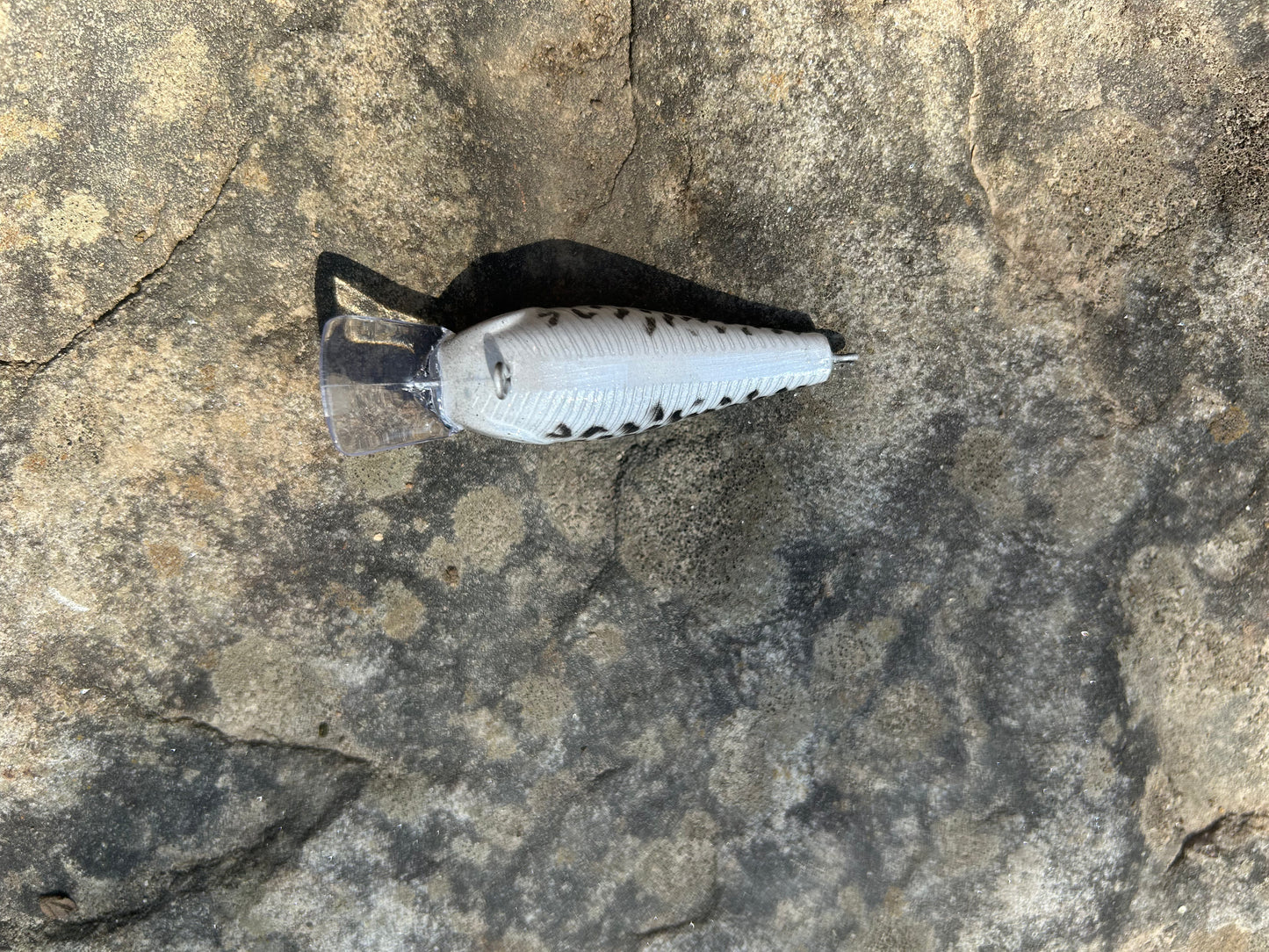 White crappie 1.5 square bill