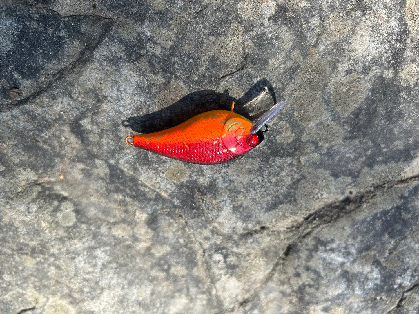 Red craw 1.5 square bill