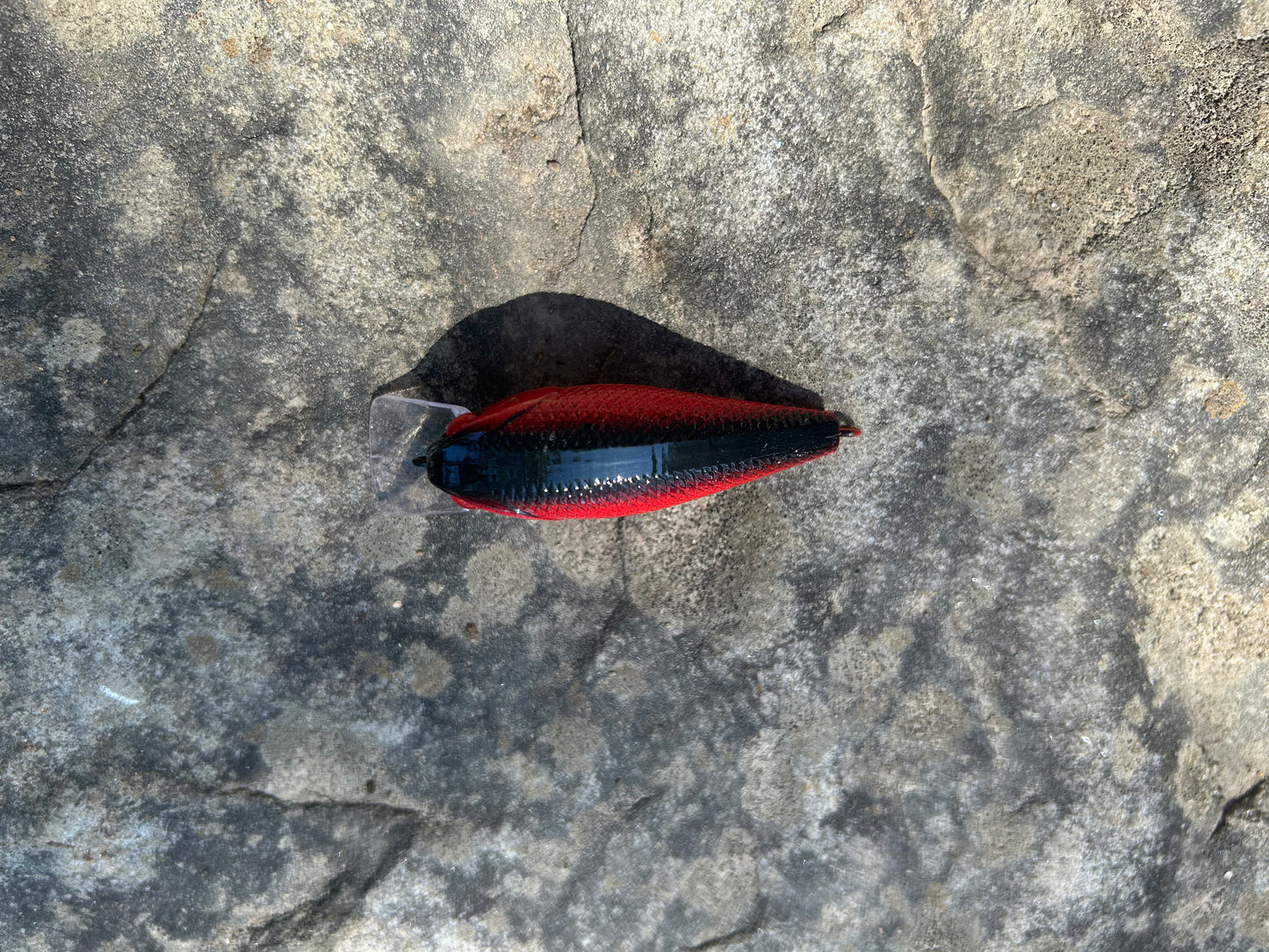 Red craw 1.5 square bill