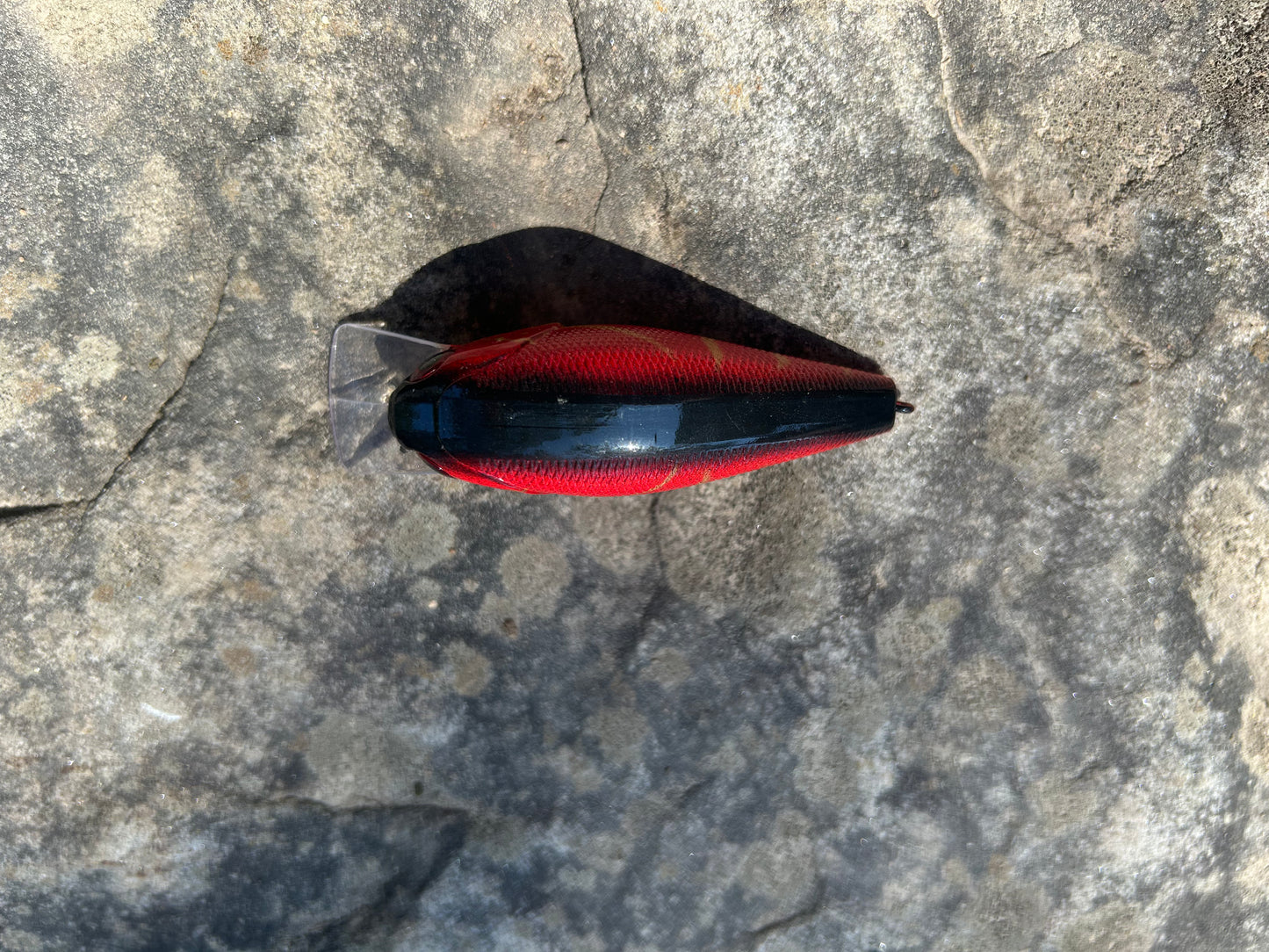 Red craw 2.5 square bill
