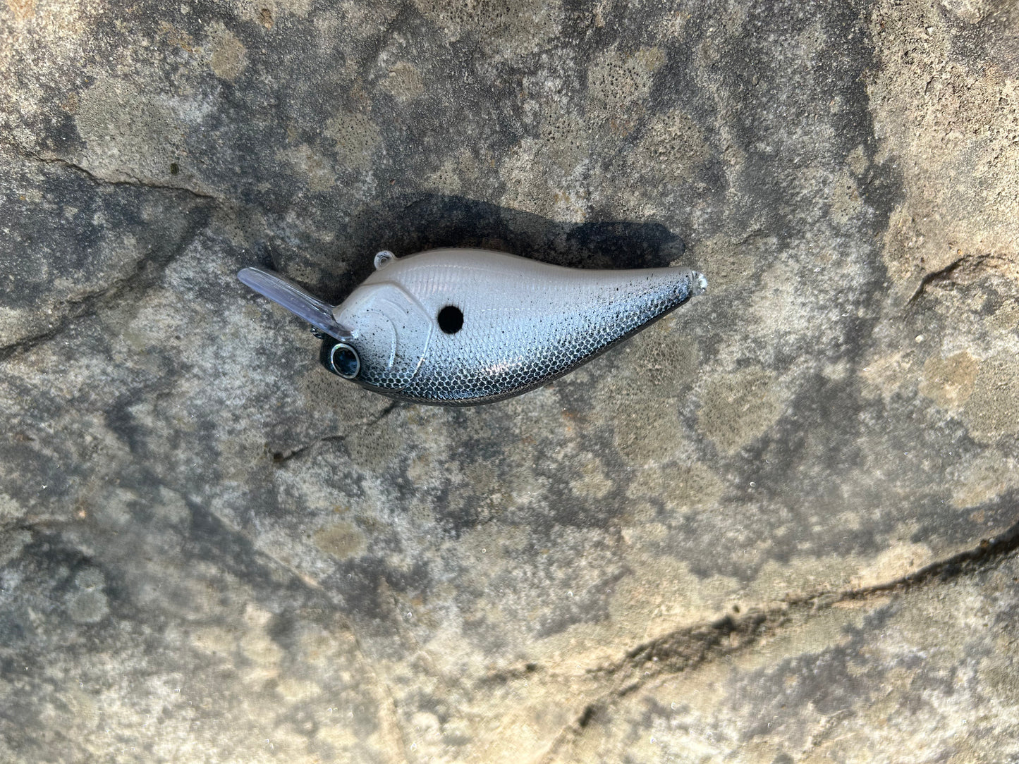 Shad 2.5 square bill