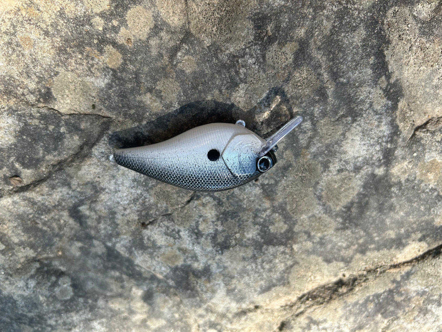 Shad 2.5 square bill