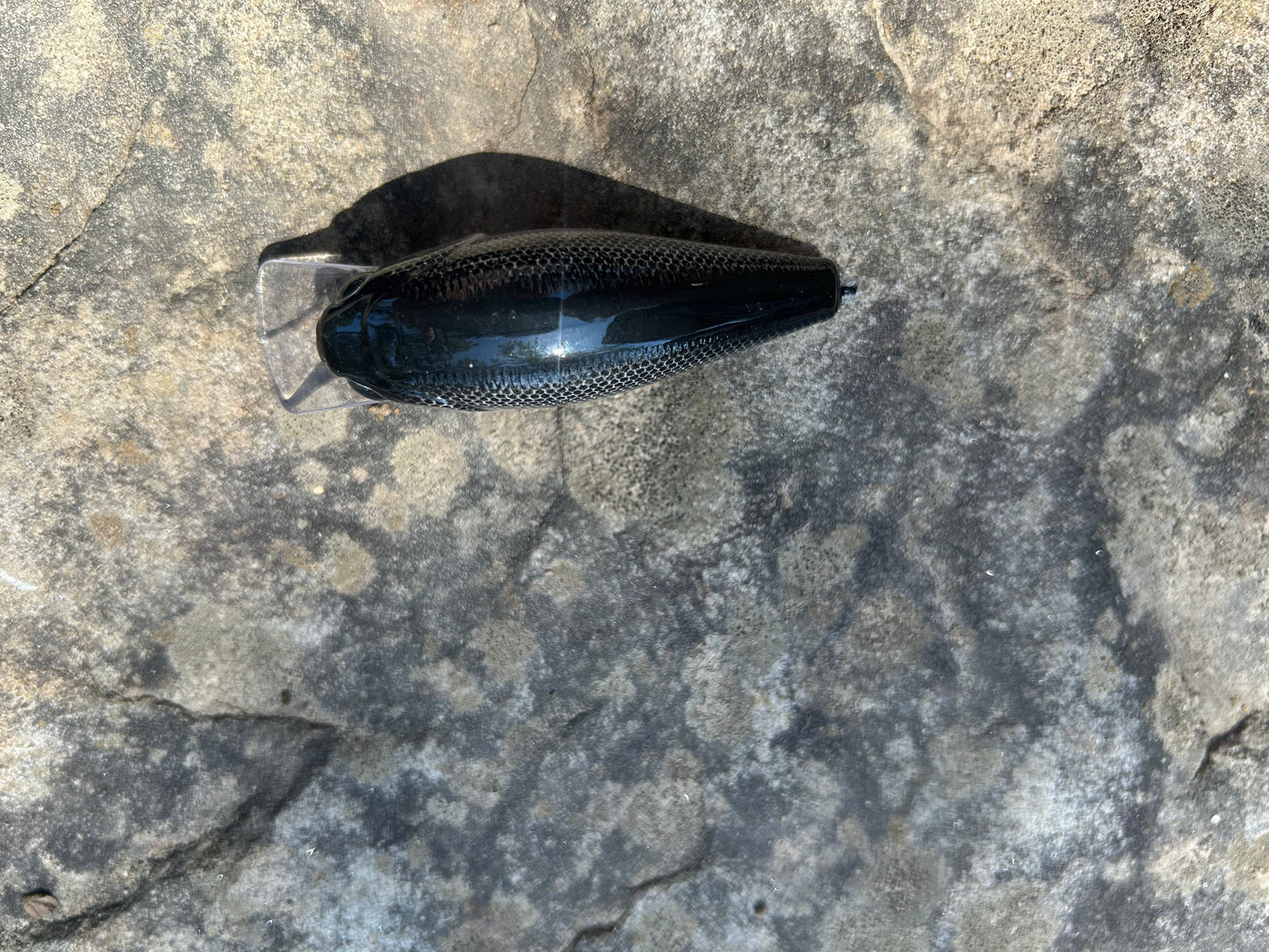 Shad 2.5 square bill