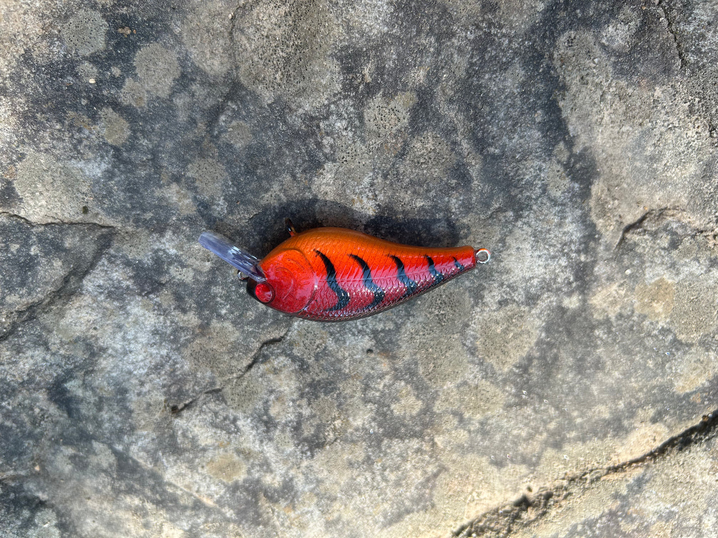 1.5 square bill Red craw V-2
