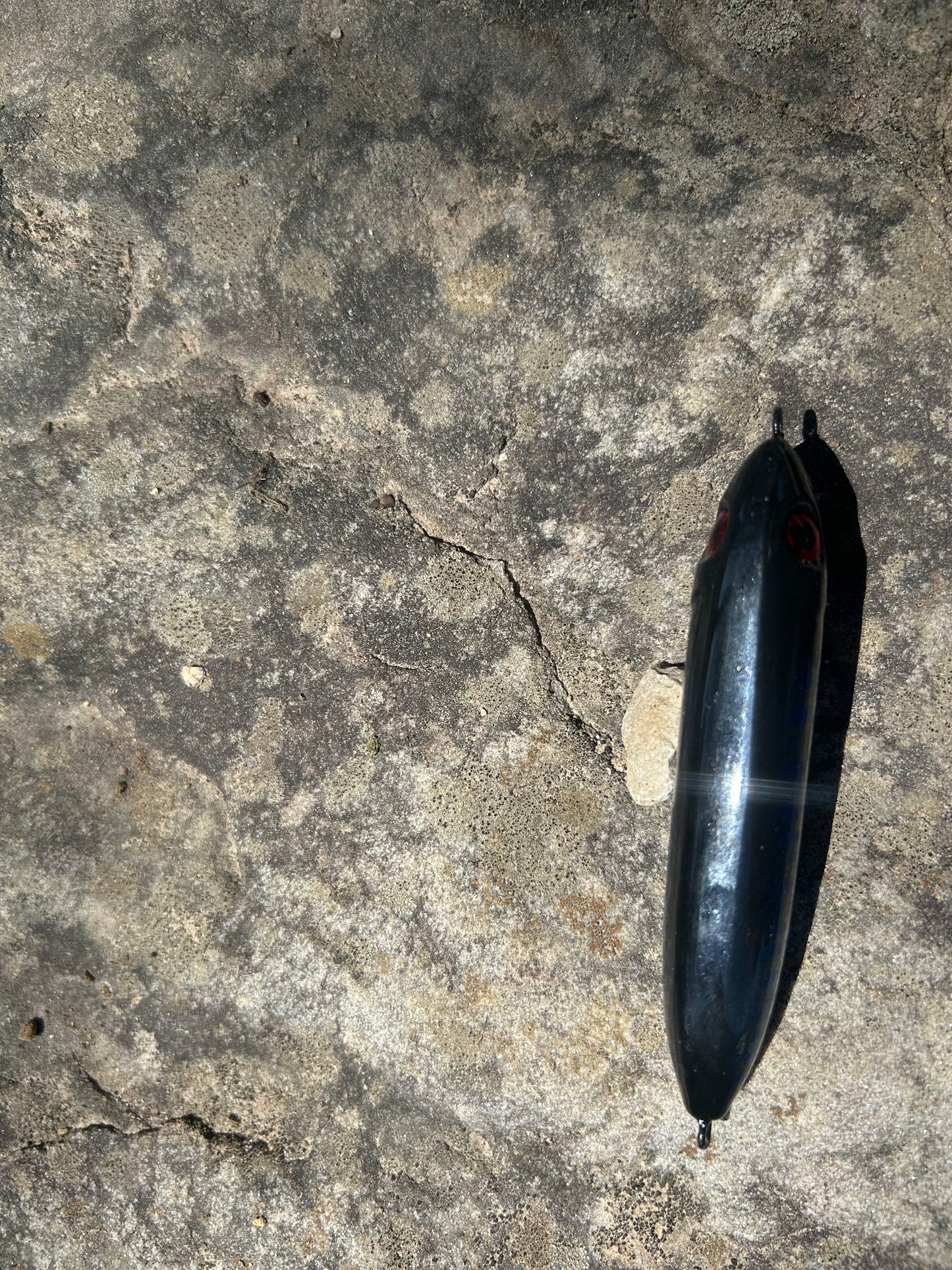 Blue shad spook Jr 3.5