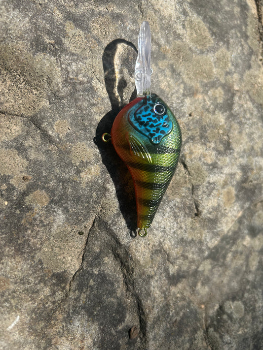 Perch medium-diving crank