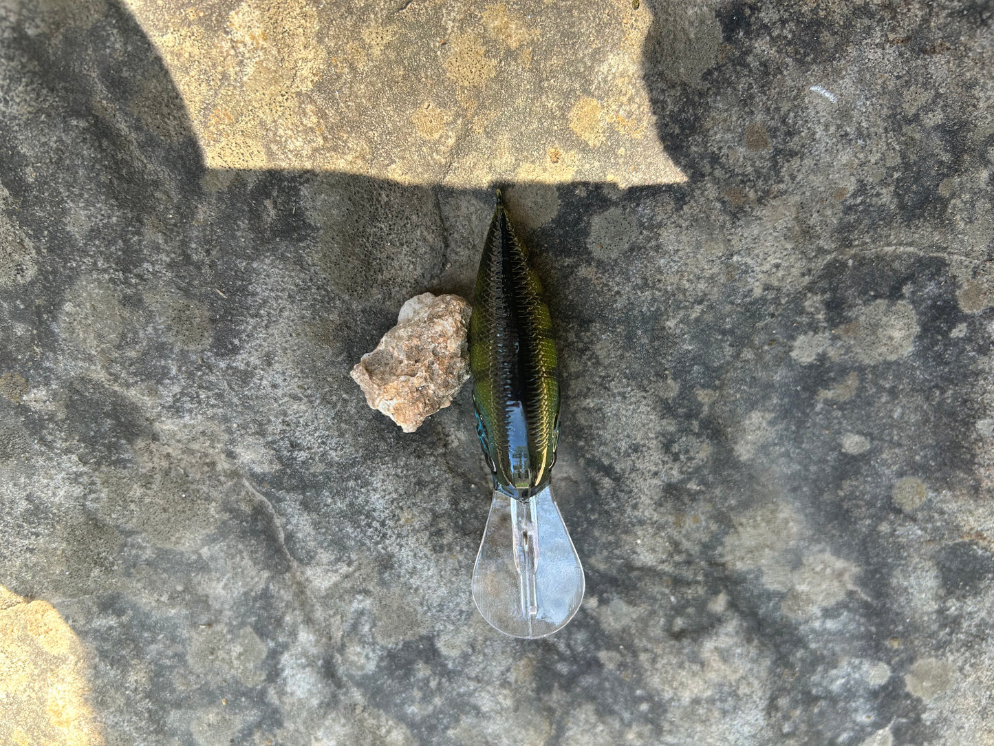 Perch medium-diving crank