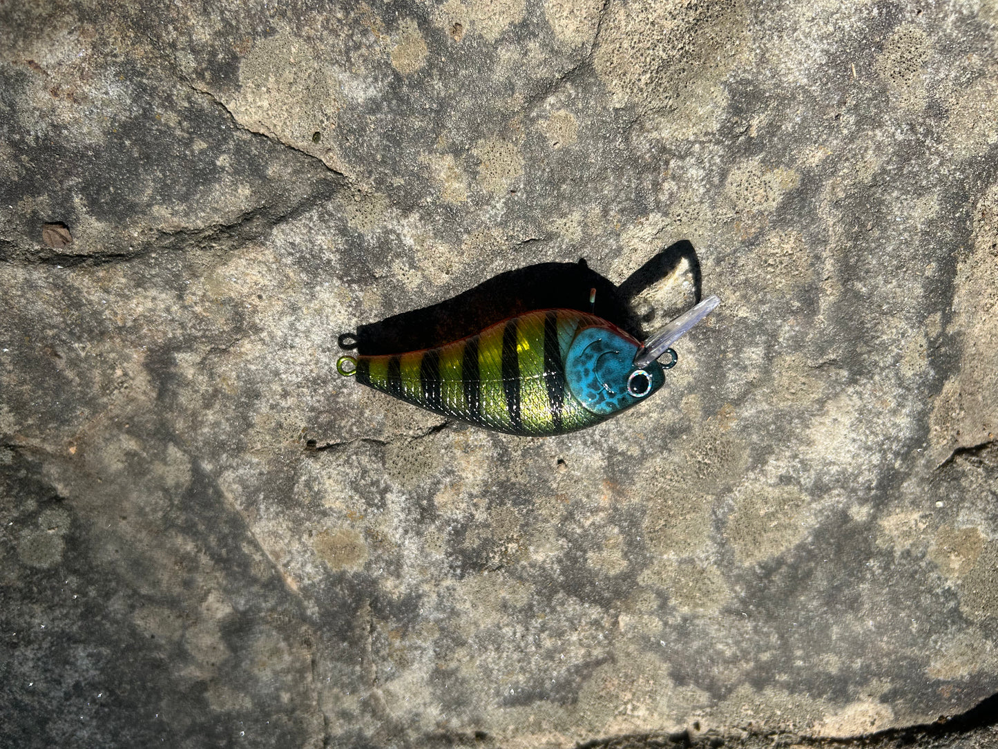 Perch 1.5 square bill