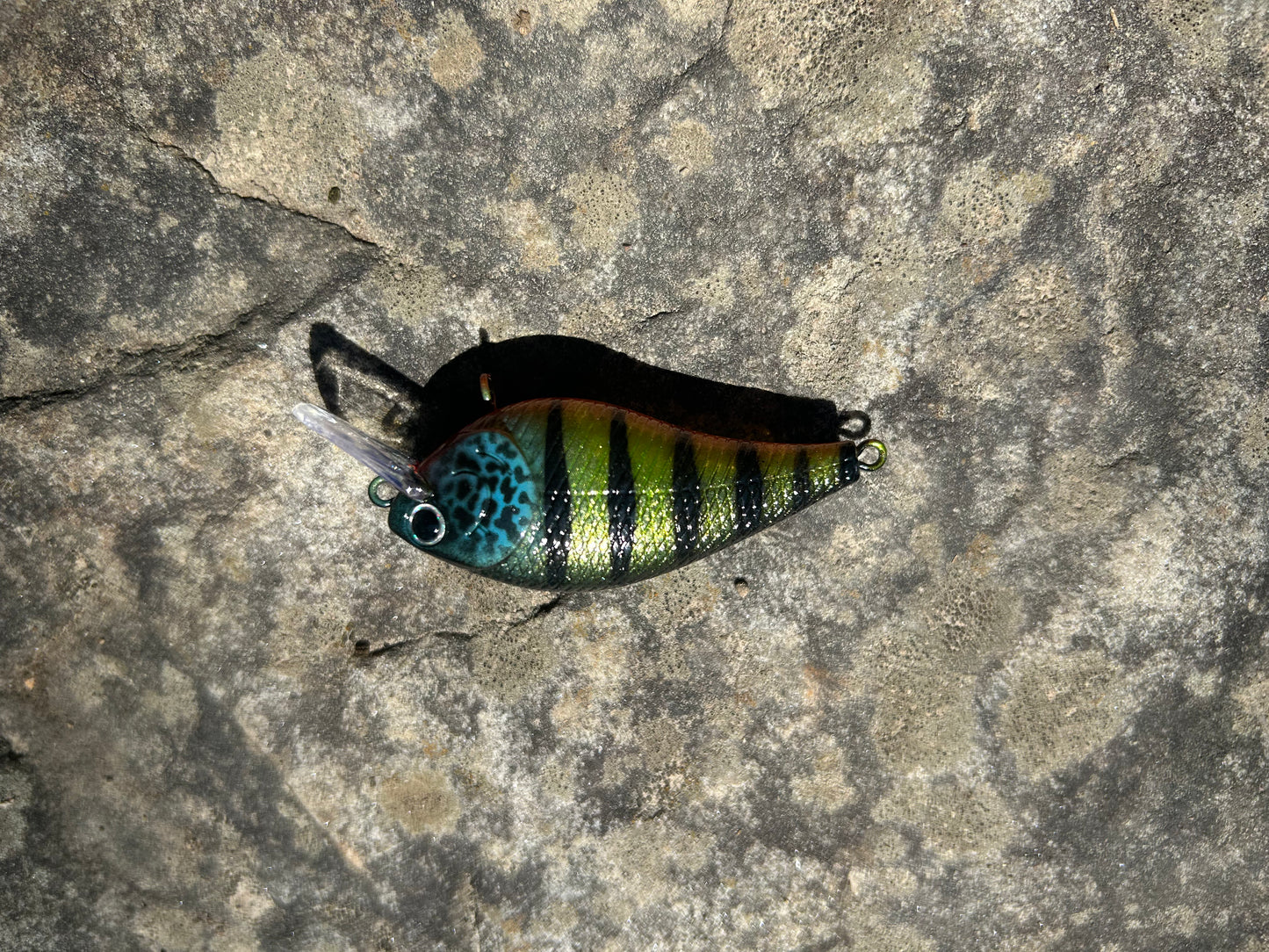 Perch 1.5 square bill