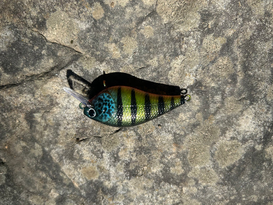 Perch 1.5 square bill