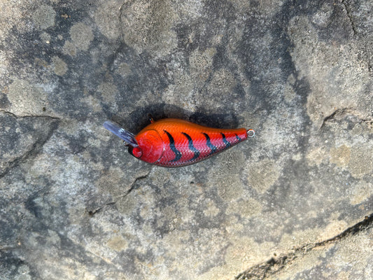1.5 square bill Red craw V-2