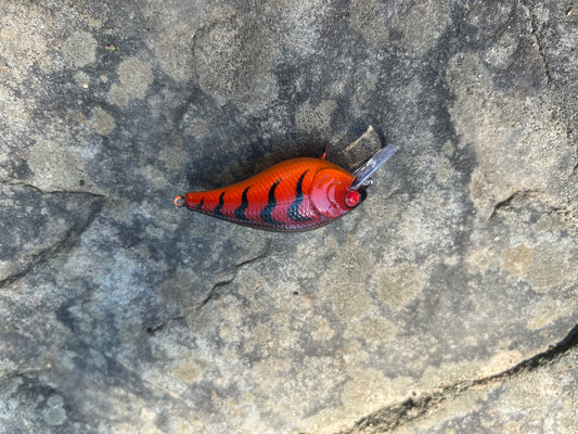1.5 square bill Red craw V-2