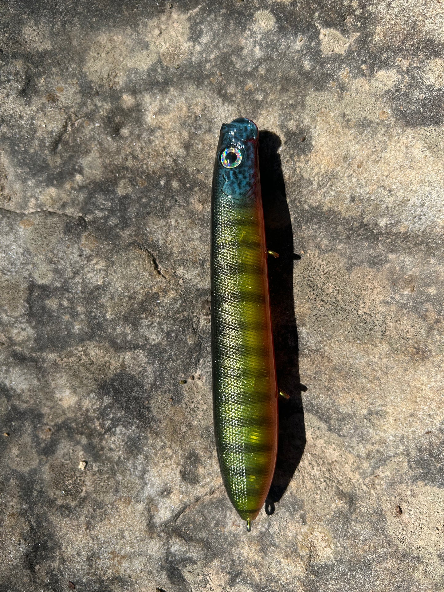 5 inch perch shower blow